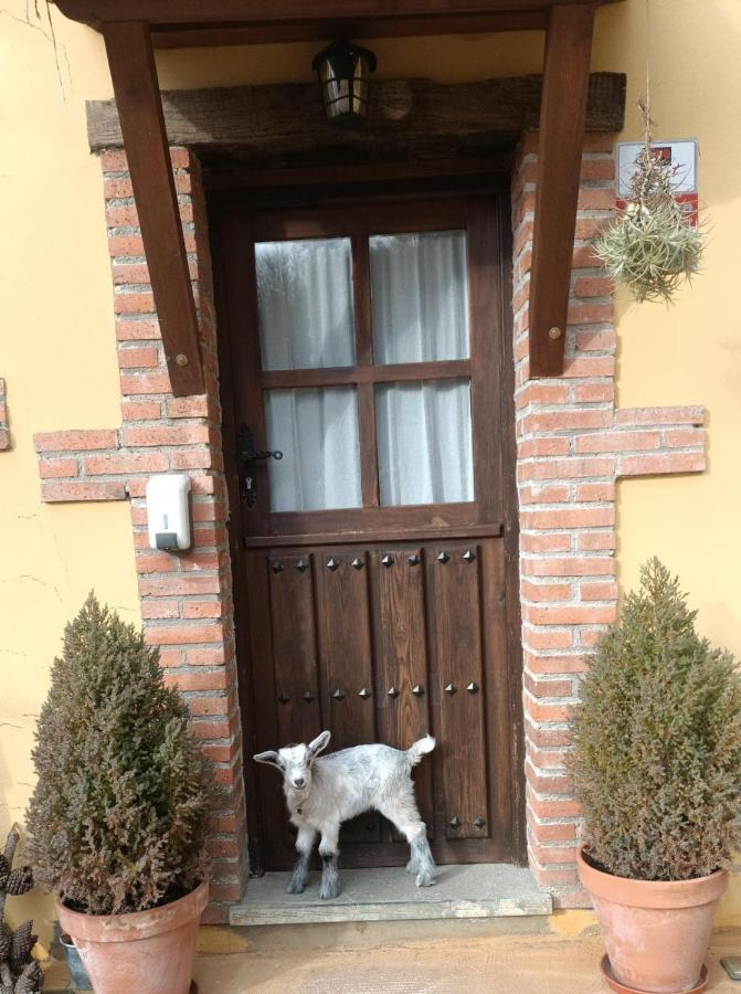 Carroceu Rural Apartment กังกัส เด โอนิส ภายนอก รูปภาพ