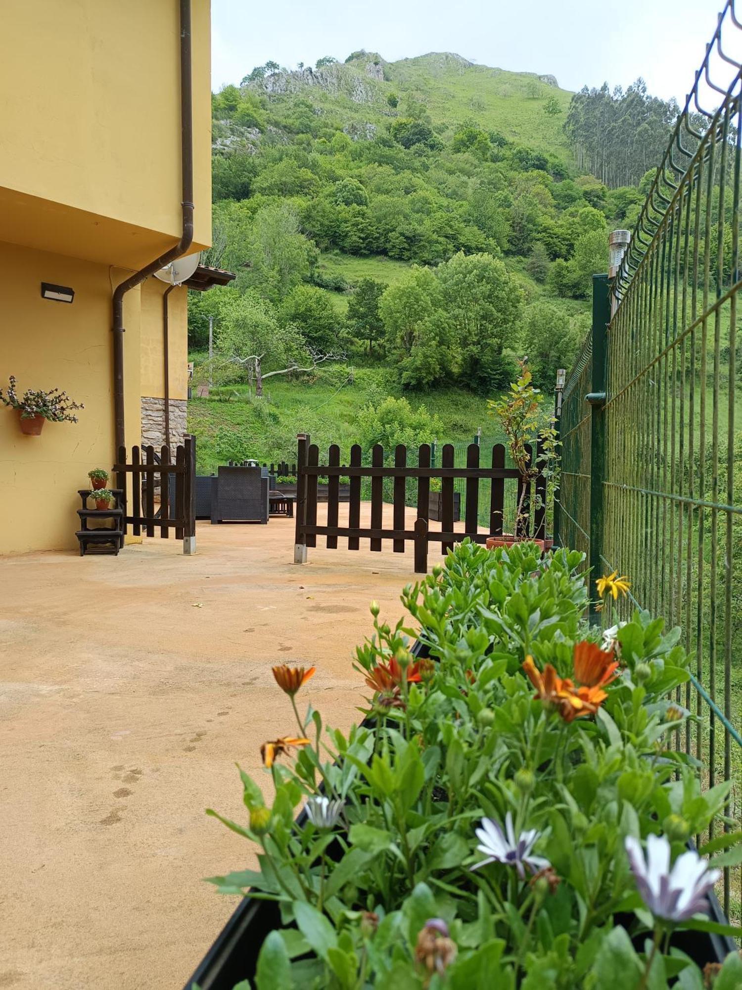 Carroceu Rural Apartment กังกัส เด โอนิส ภายนอก รูปภาพ