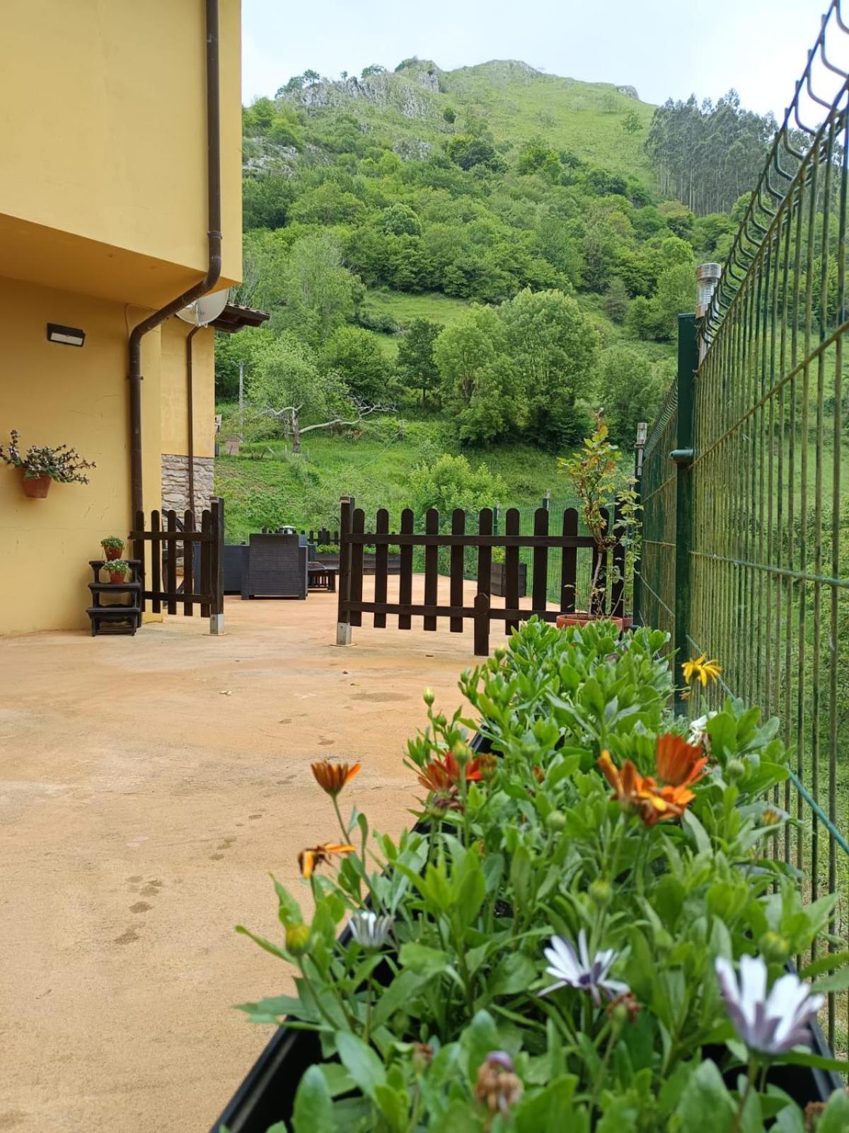 Carroceu Rural Apartment กังกัส เด โอนิส ภายนอก รูปภาพ
